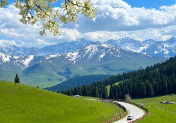 一树一树的花开