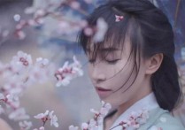 李子柒的择偶标准,刺痛了1000万年轻人最敏感的伤疤