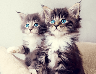 家居小妙招，一定用得上